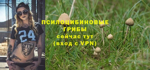 прущая мука Верхний Тагил