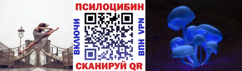 MEGA ТОР  Малоярославец  Галлюциногенные грибы прущие грибы 